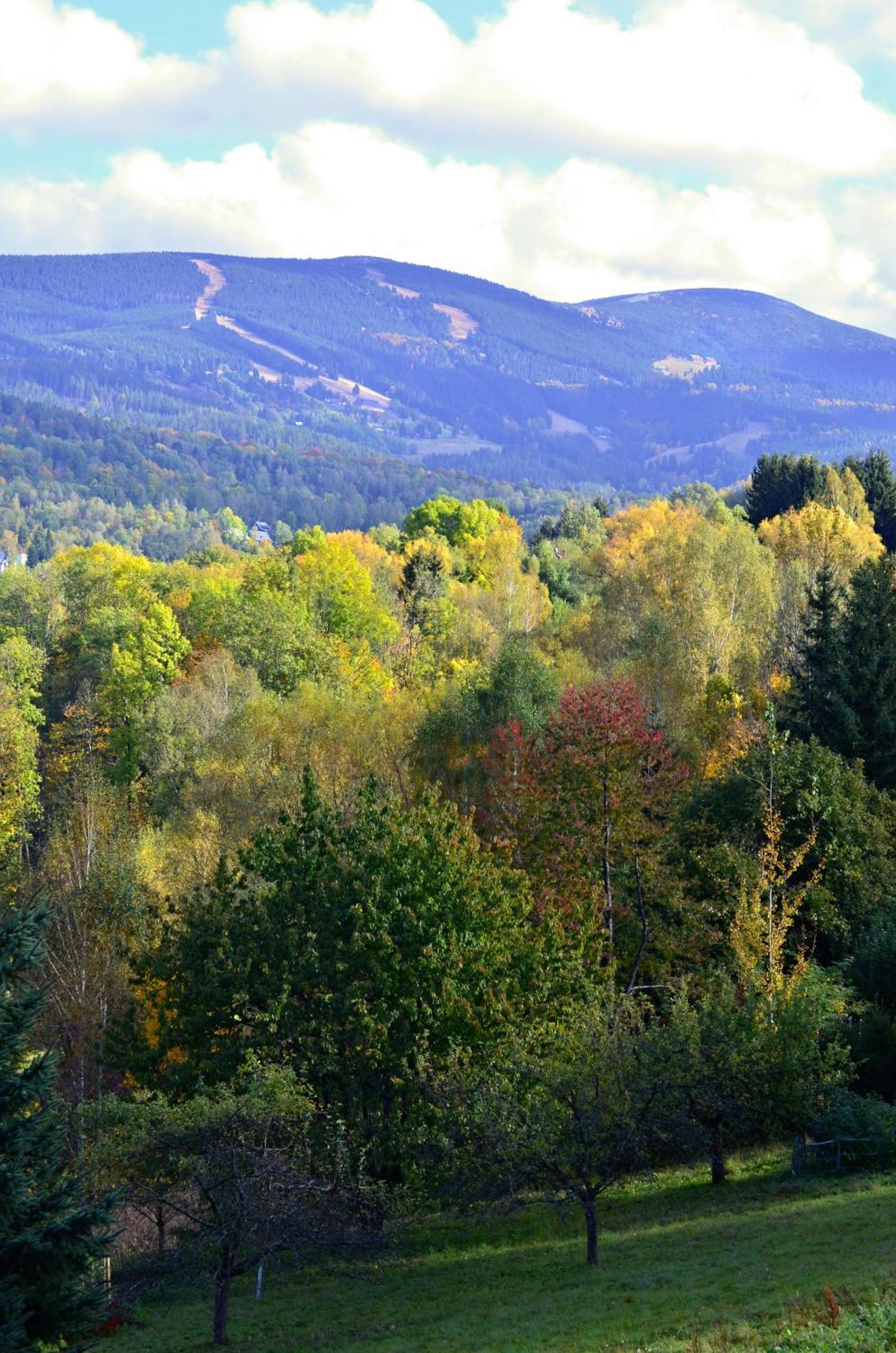 Apartmán Vista 14 Rokytnice nad Jizerou Exteriér fotografie